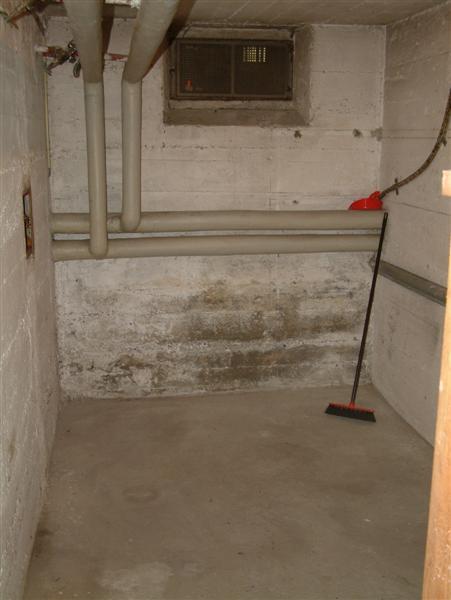 Kauf19 (Medium).jpg